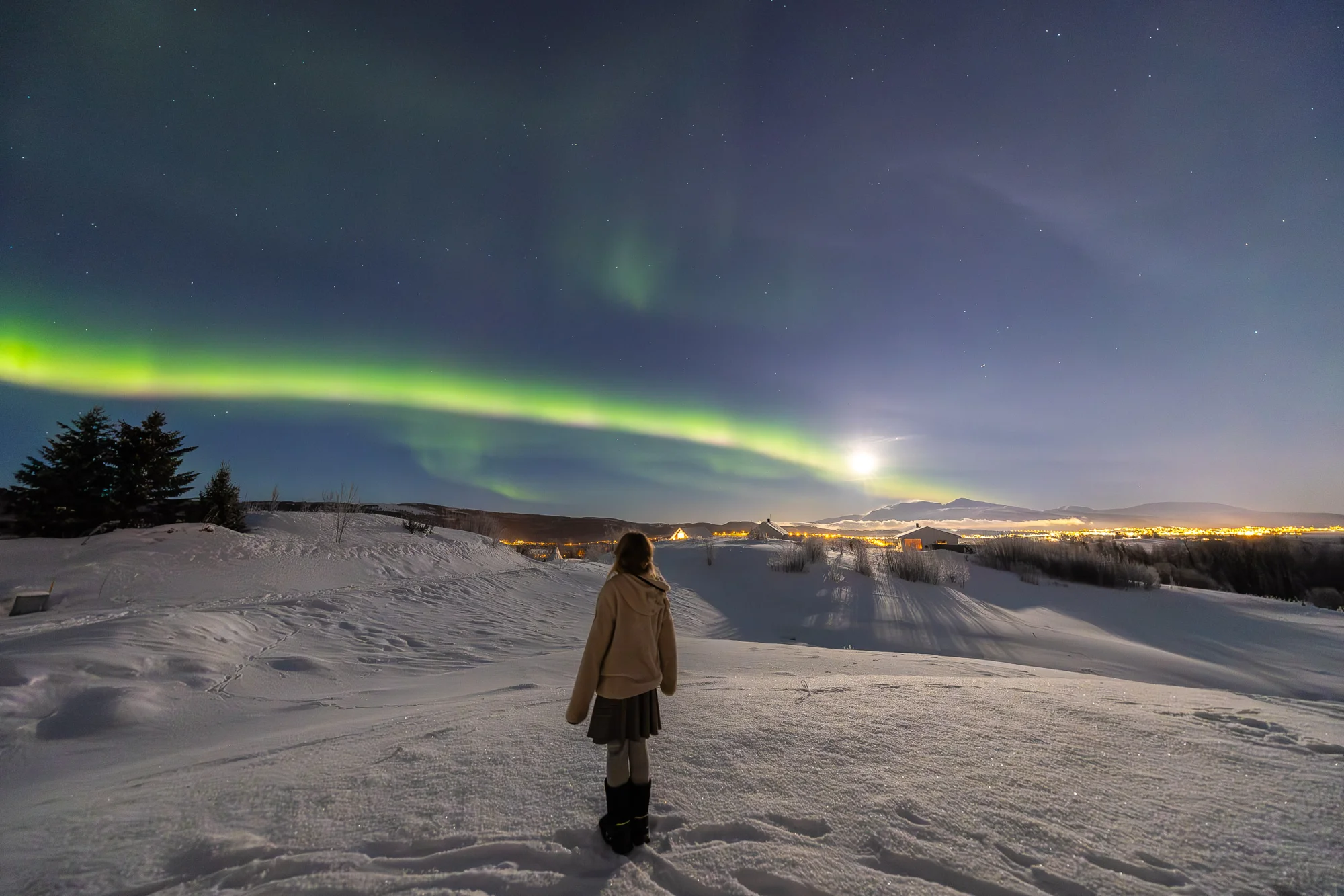 Northern lights illuminating the Arctic night over Senja